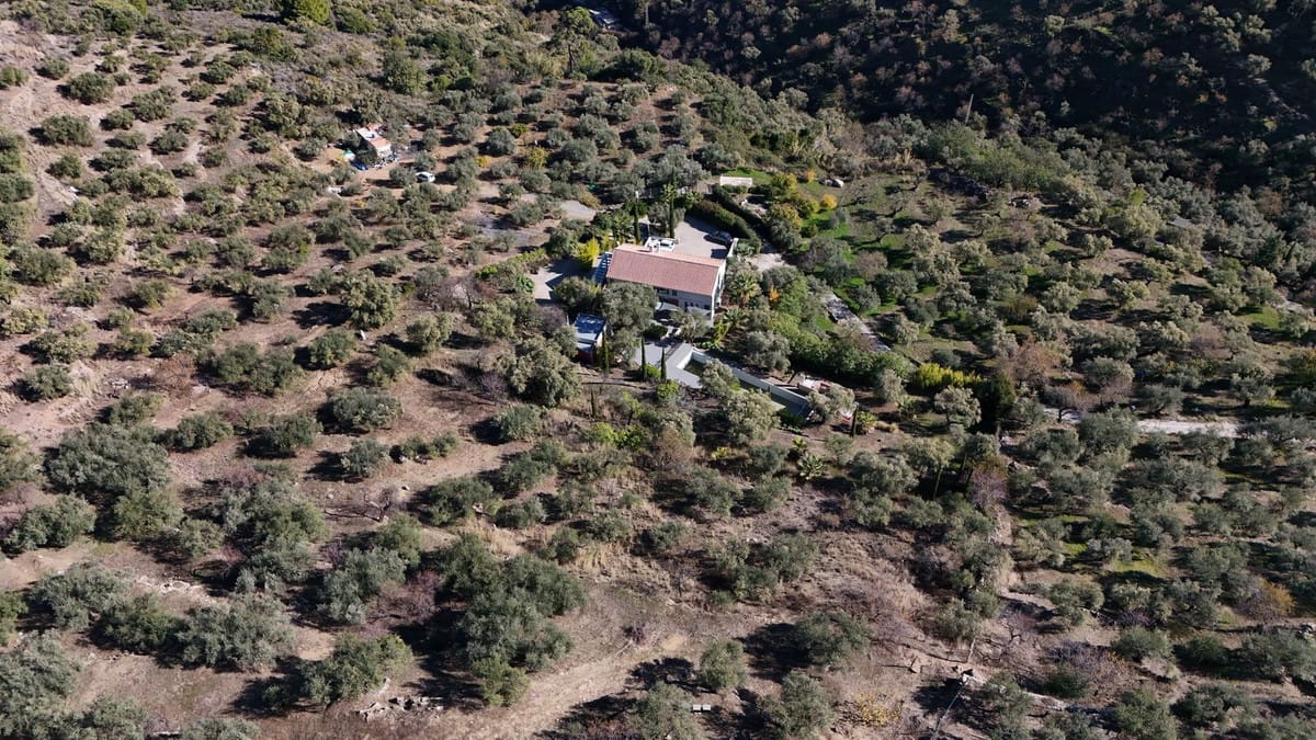 4-slaapkamer villa in Monda in Monda - foto 14