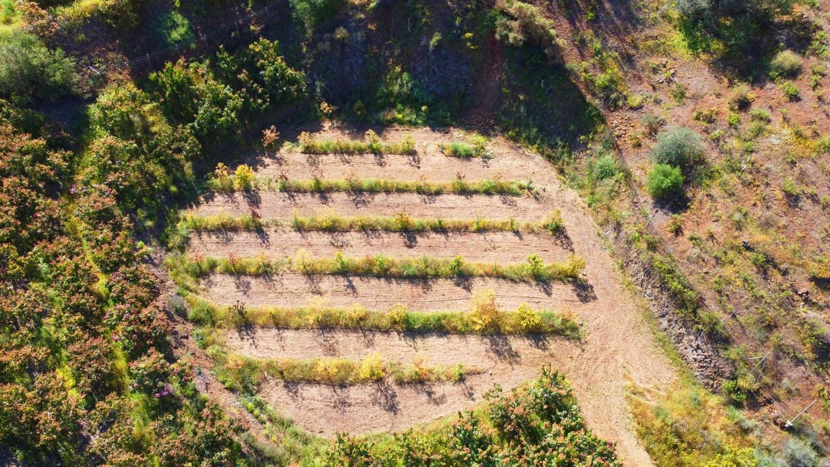 Finca met 46.013 m² terrein en 1 slaapkamer in Algarrobo, Málaga in Algarrobo - foto 16