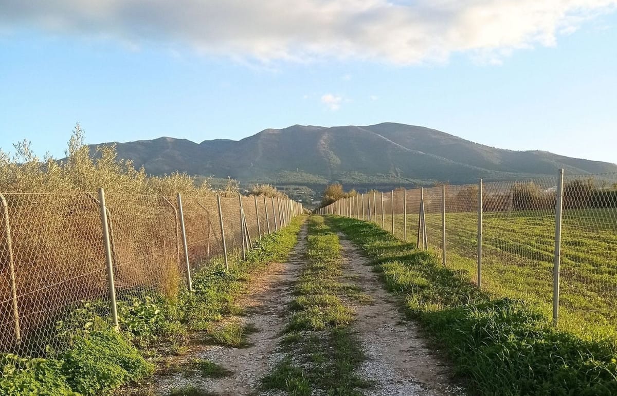 Perceel in Alhaurín el Grande in Alhaurín el Grande - foto 8