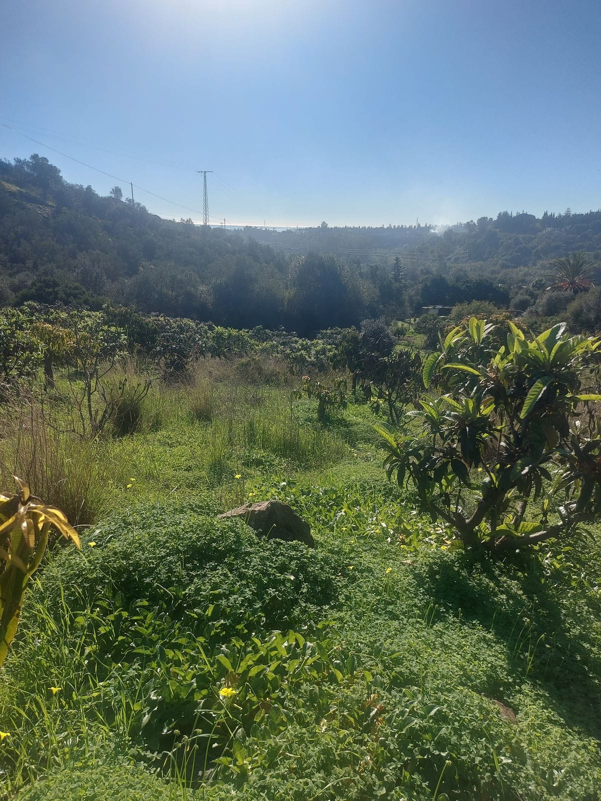 Huis met 2 slaapkamers in Estepona in Estepona - foto 17