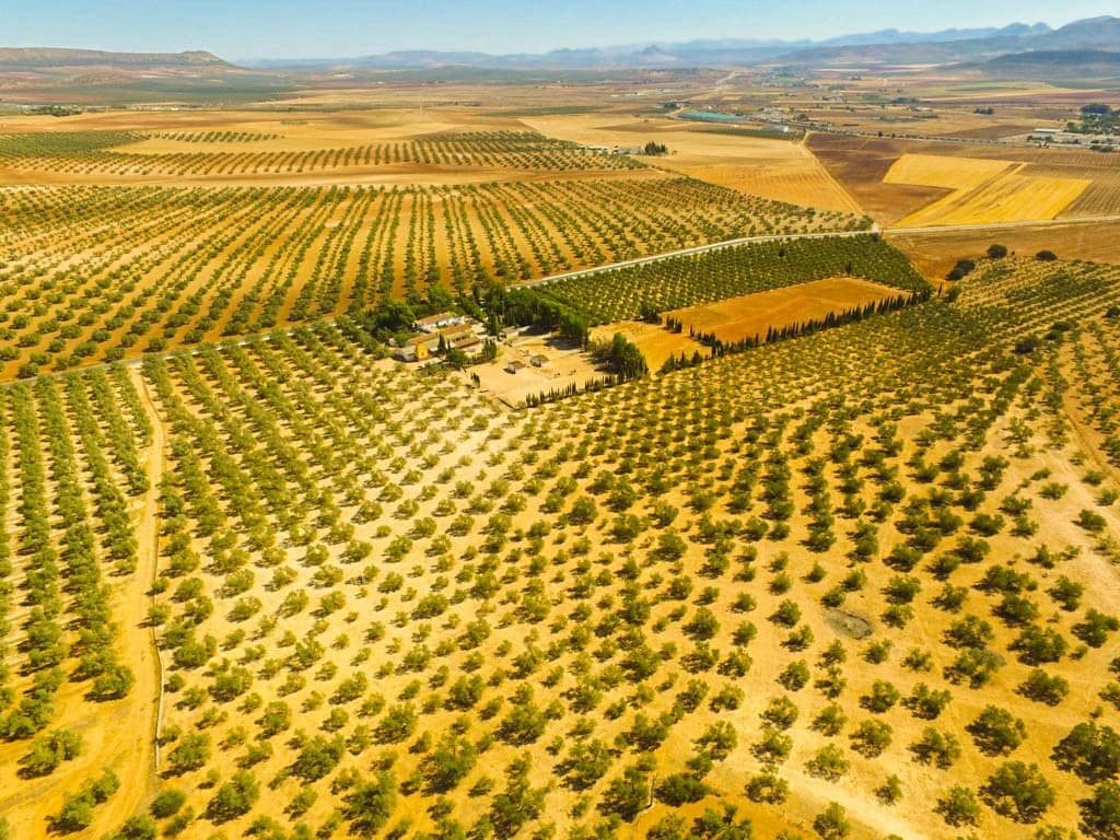 Finca met 9 slaapkamers in Antequera in Antequera - foto 5