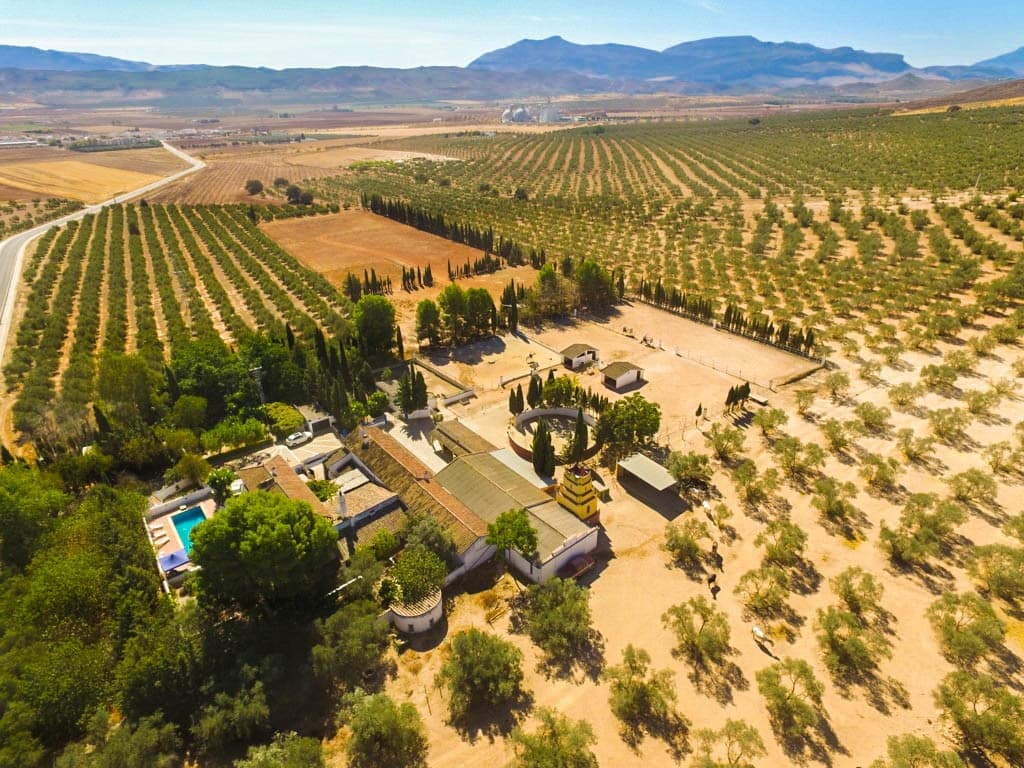 Finca met 9 slaapkamers in Antequera in Antequera - foto 3