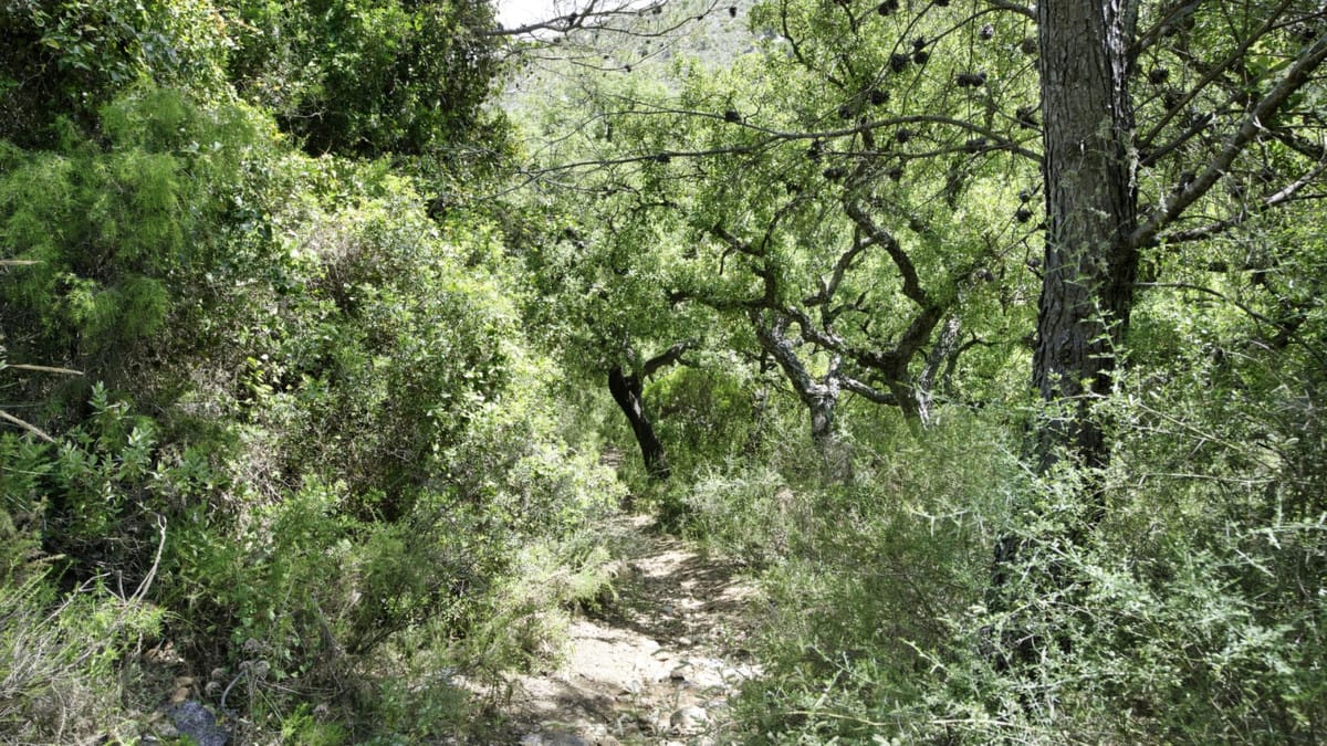 Kavels in Coín tussen Coín en Alhaurín Golf met zeezicht in Coín - foto 18