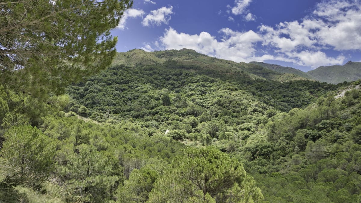 Kavels in Coín tussen Coín en Alhaurín Golf met zeezicht in Coín - foto 3