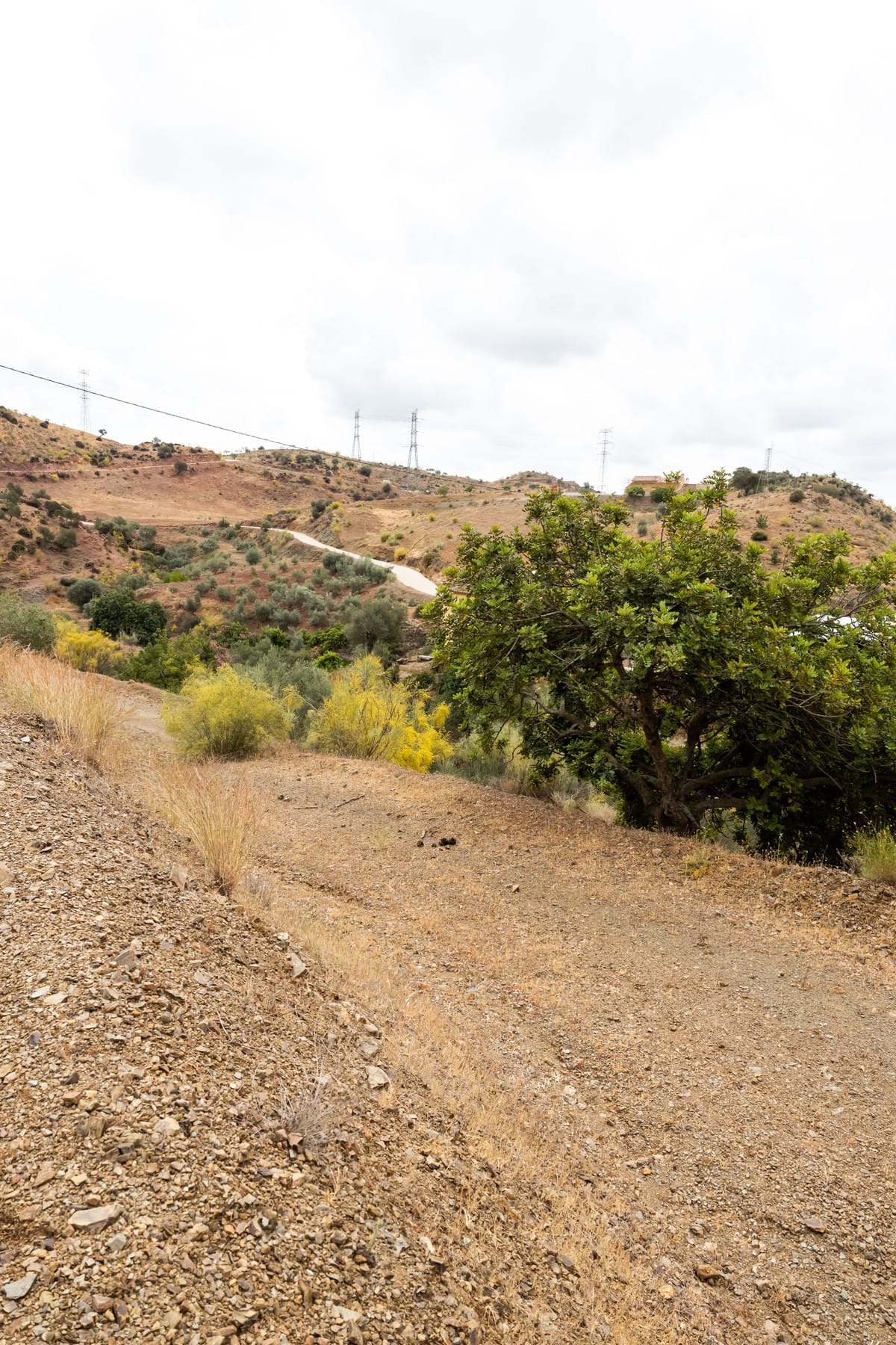 Kavel in Estación de Cártama in Estacion de Cartama - foto 12