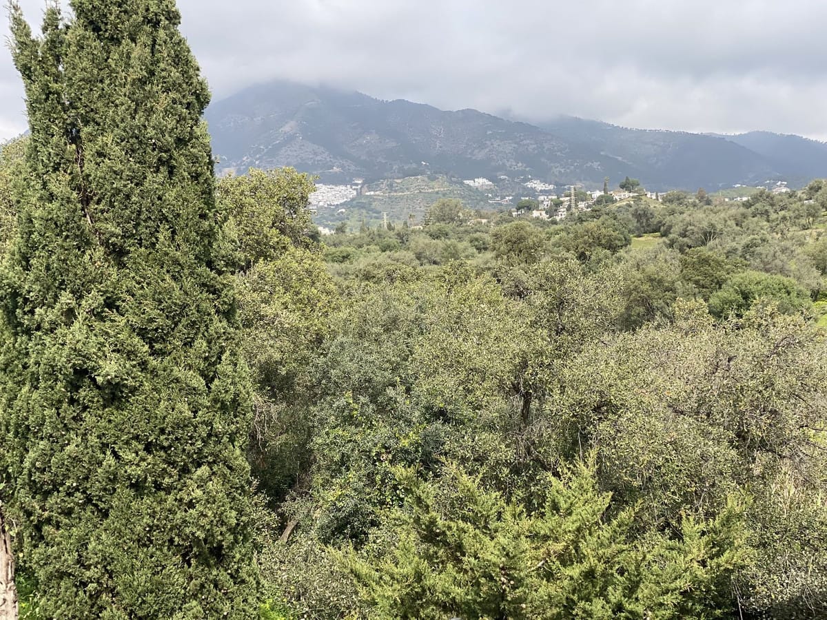 2-slaapkamer appartement in Mijas in Mijas - foto 14