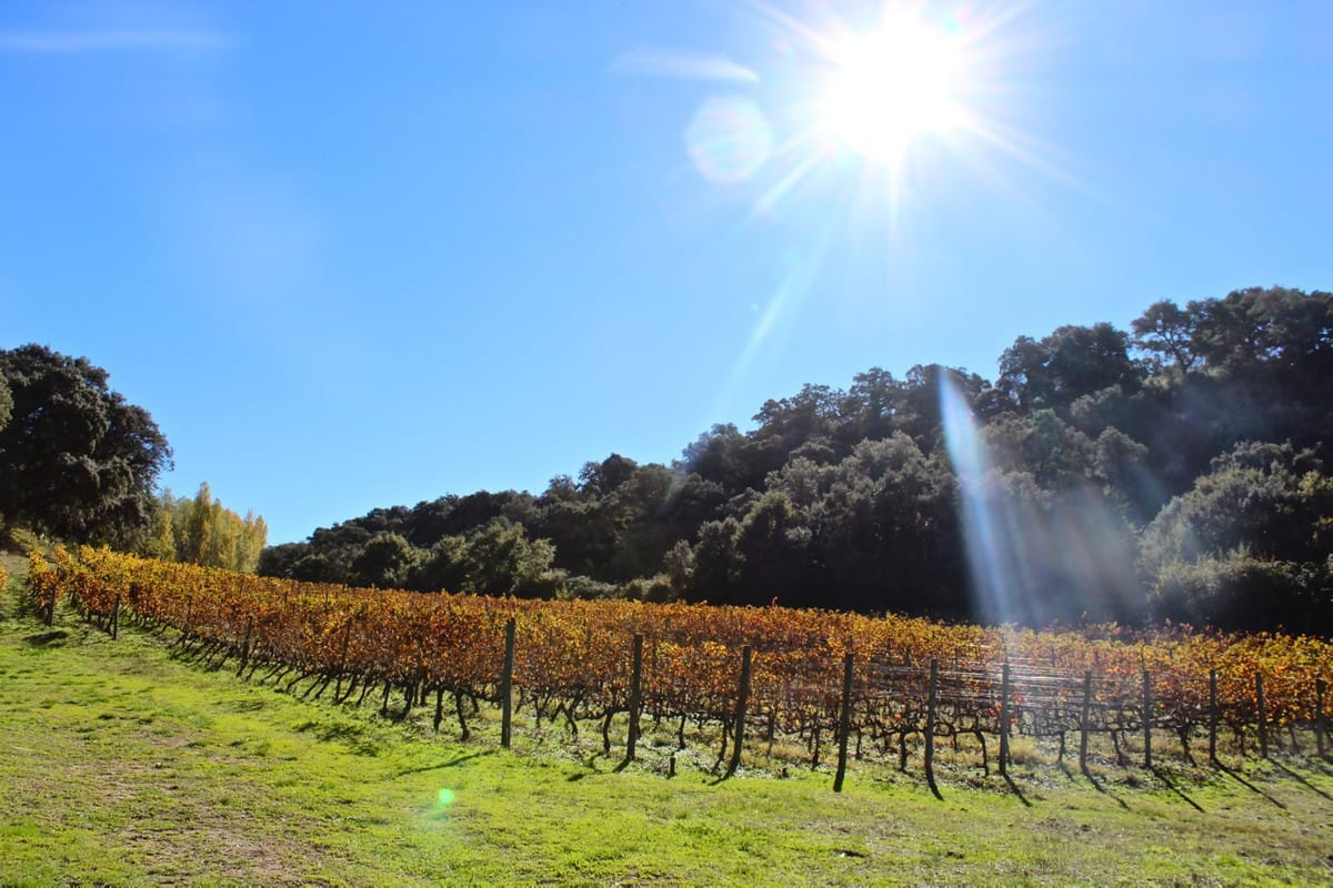 Huis met 6 slaapkamers in Ronda in Ronda - foto 11