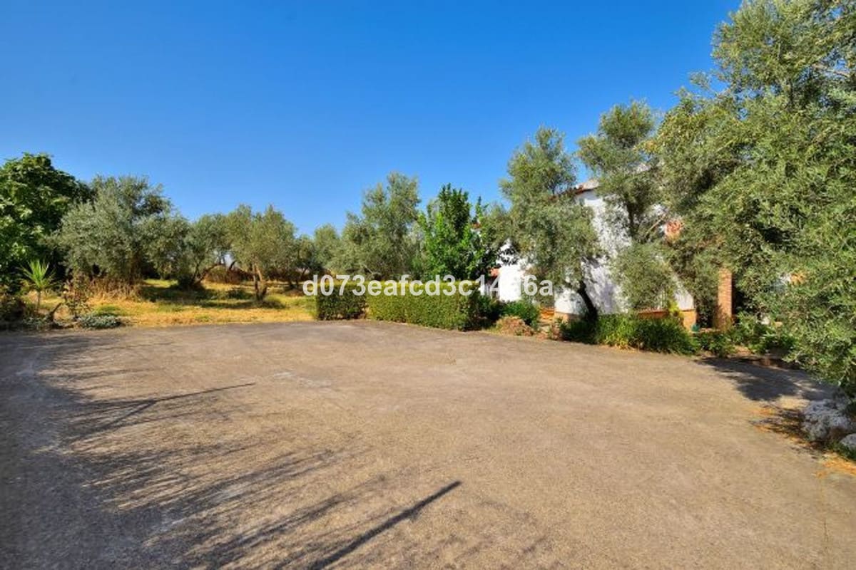 5 bedroom House in Arriate in Arriate - foto 10