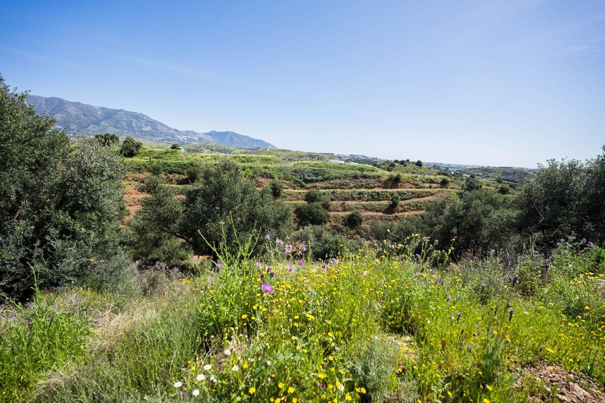 Perceel in Mijas in Mijas - foto 4