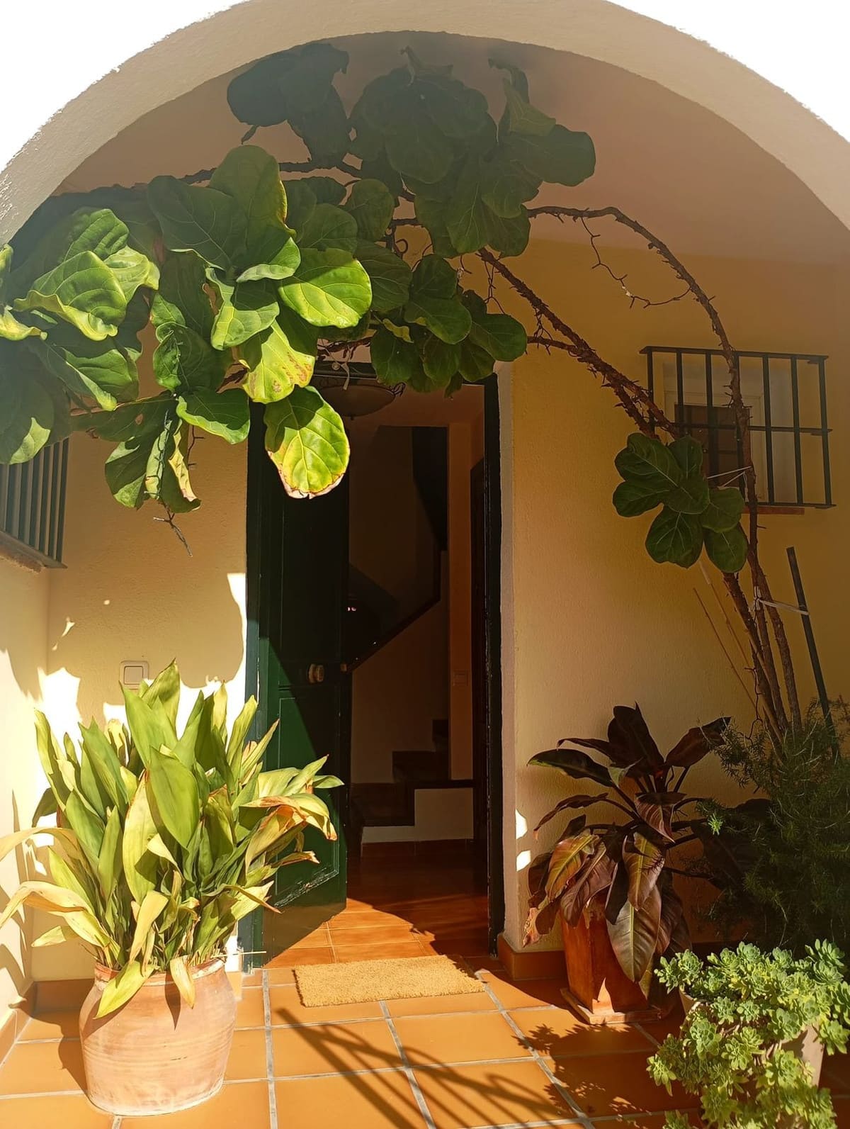 Villa met 4 slaapkamers in Casares Playa in Casares Playa - foto 4