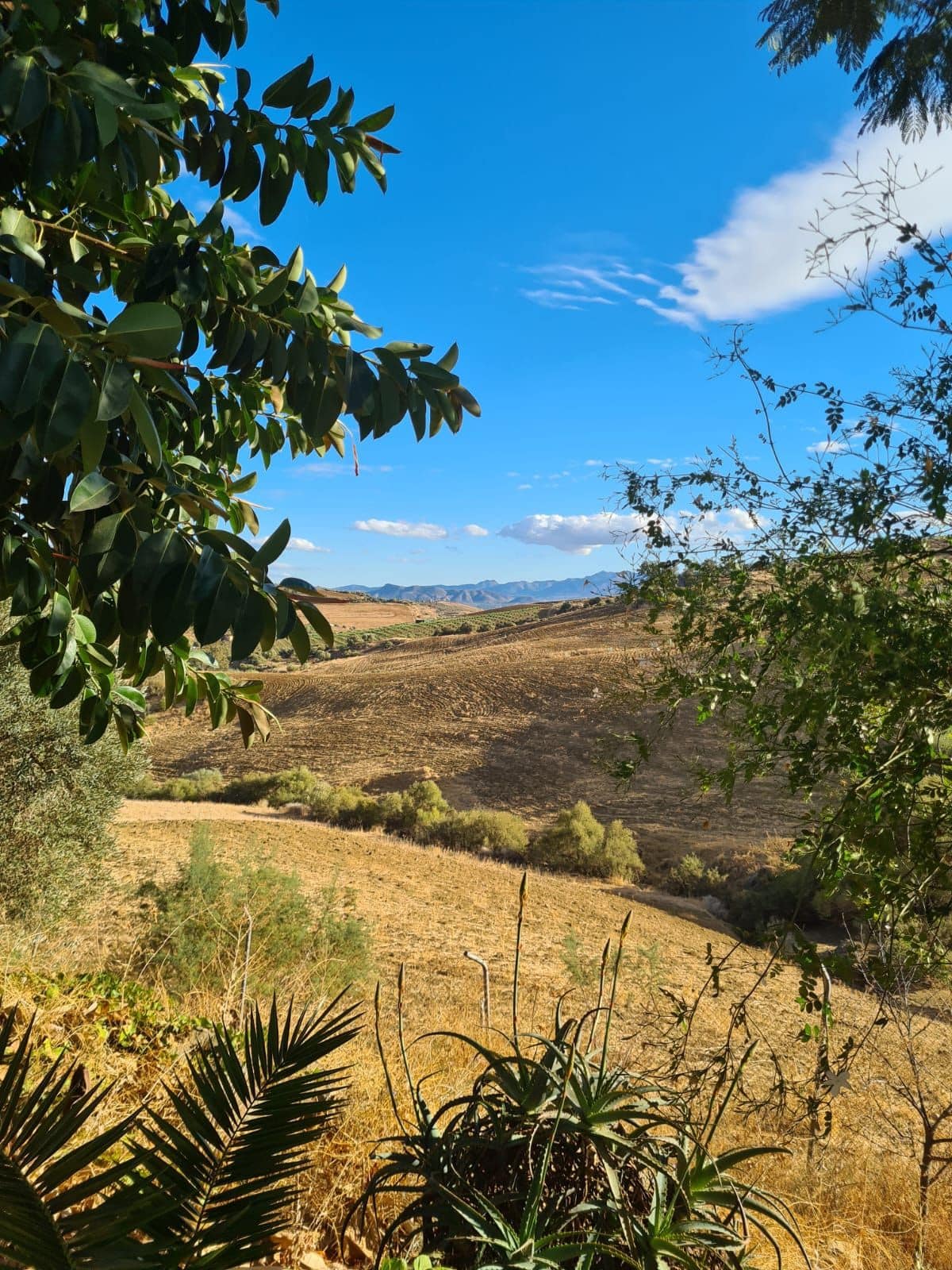 Finca met 3 slaapkamers in Pizarra in Pizarra - foto 16