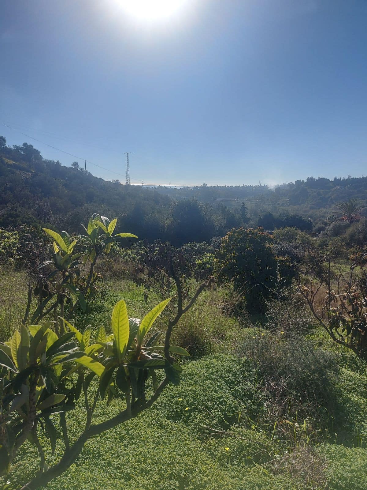 Huis met 2 slaapkamers in Estepona in Estepona - foto 19