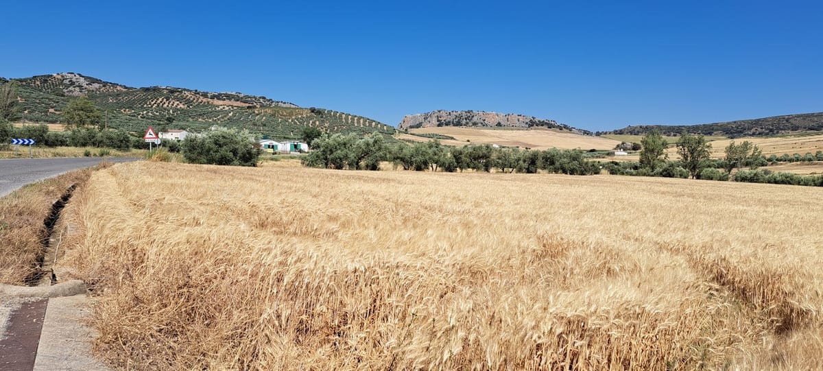 Bouwkavel met 31 kavels, wegen en groenvoorzieningen in Cuevas del Becerro (8191 m2) in Cuevas del Becerro - foto 4
