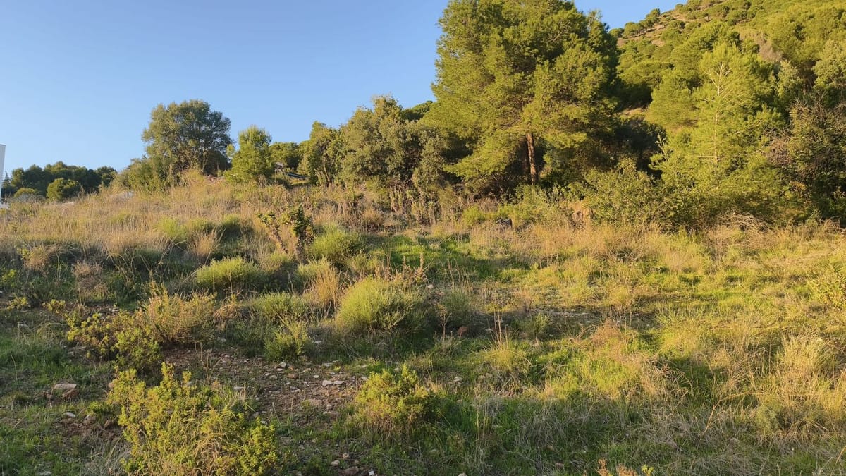 Perceel in Mijas in Mijas - foto 7