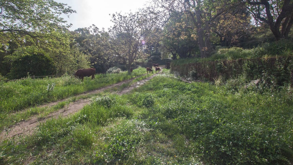 Finca met 3 slaapkamers in Gaucín in Gaucín - foto 10