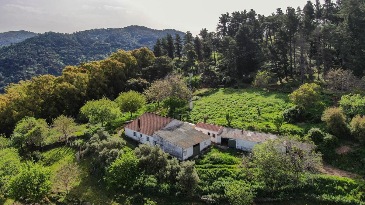 Finca met 3 slaapkamers in Gaucín in Gaucín - foto 16