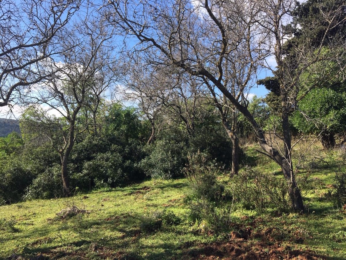 Perceel te koop in Manilva, Costa del Sol in Manilva - foto 16