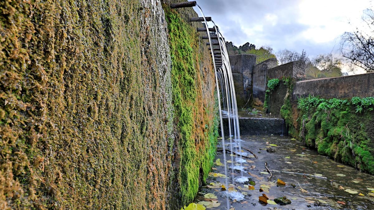 Villa met 4 slaapkamers in Alfarnate in Alfarnate - foto 3