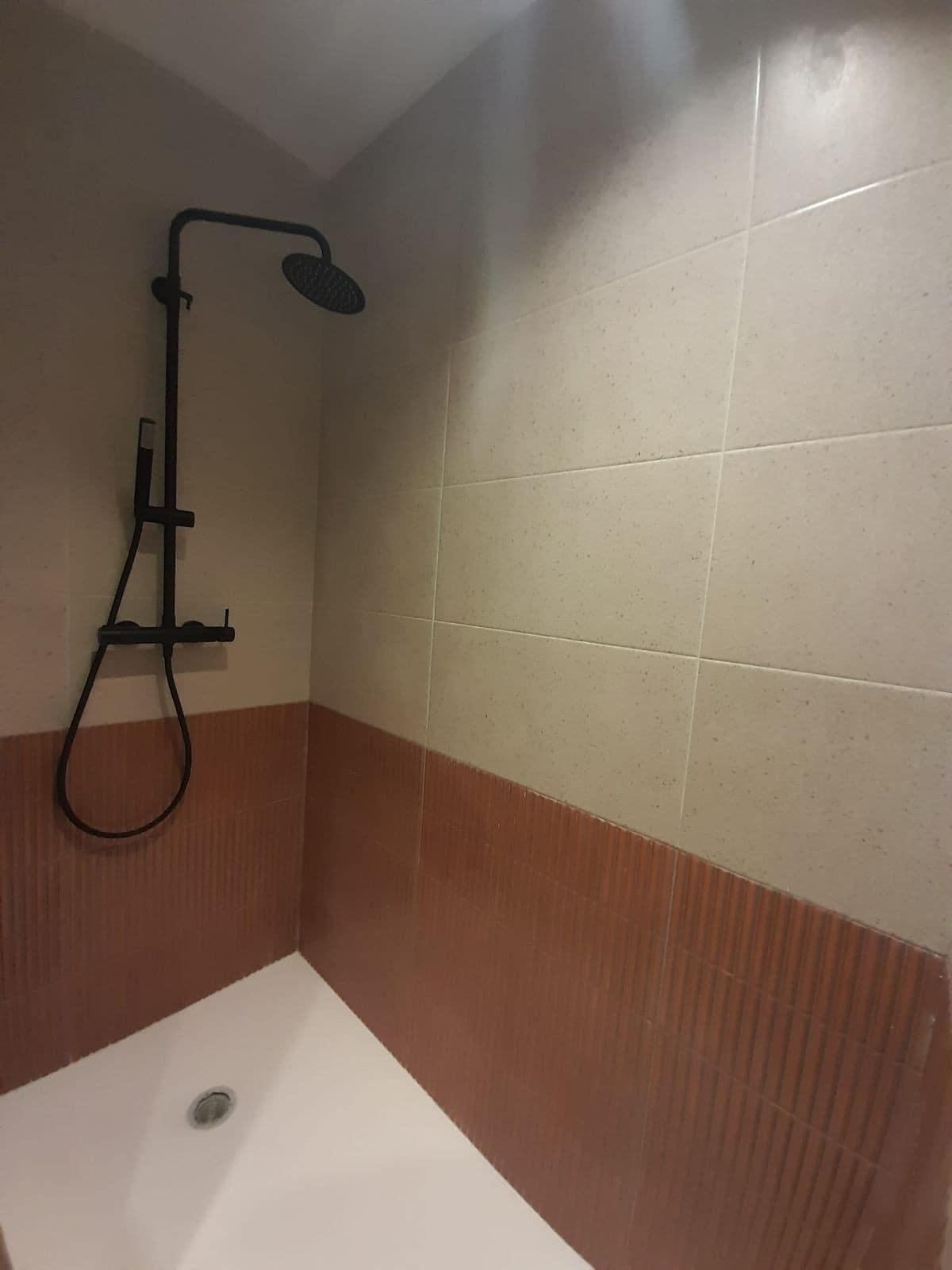 3-slaapkamer appartement in Málaga in Málaga - foto 11