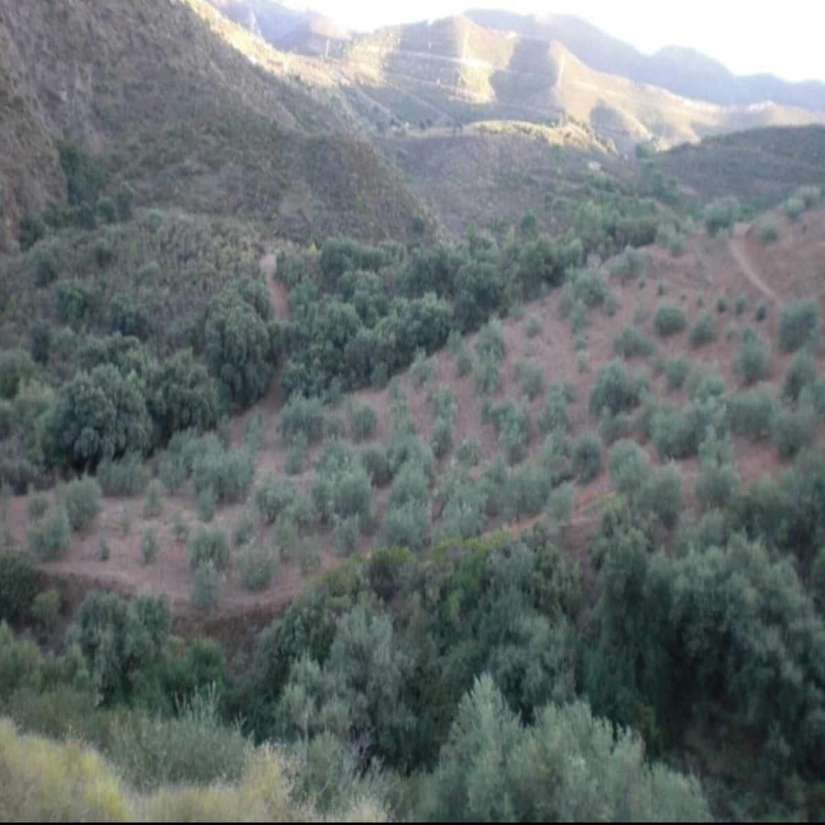 Kavel in Monda in Monda - foto 11