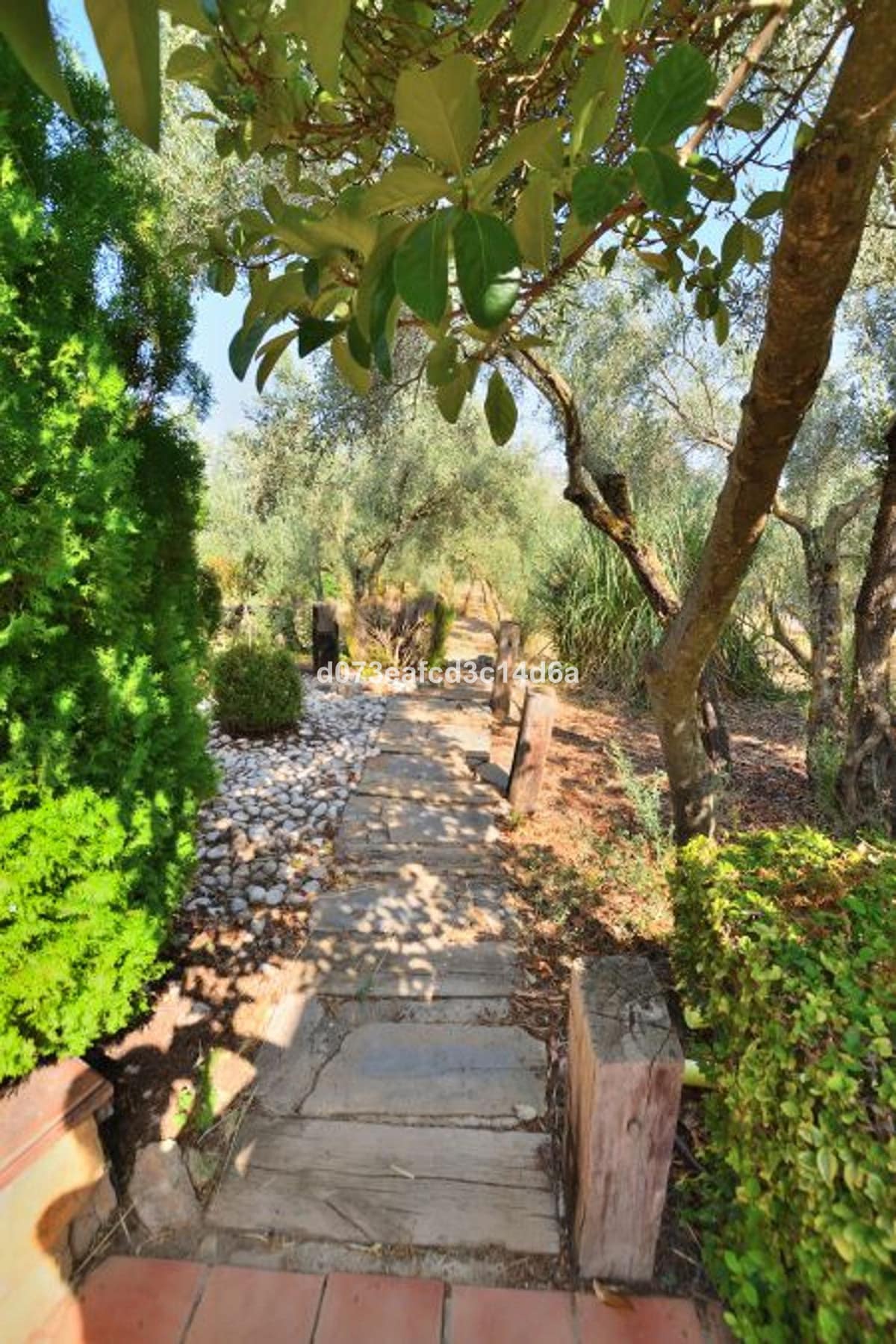 5 bedroom House in Arriate in Arriate - foto 13