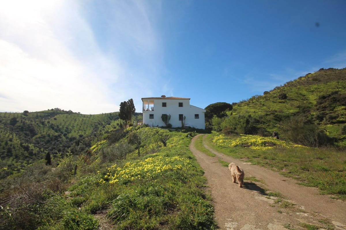 Finca in Almogía, Málaga met meer dan 300 jaar geschiedenis en potentieel in Almogía - foto 4