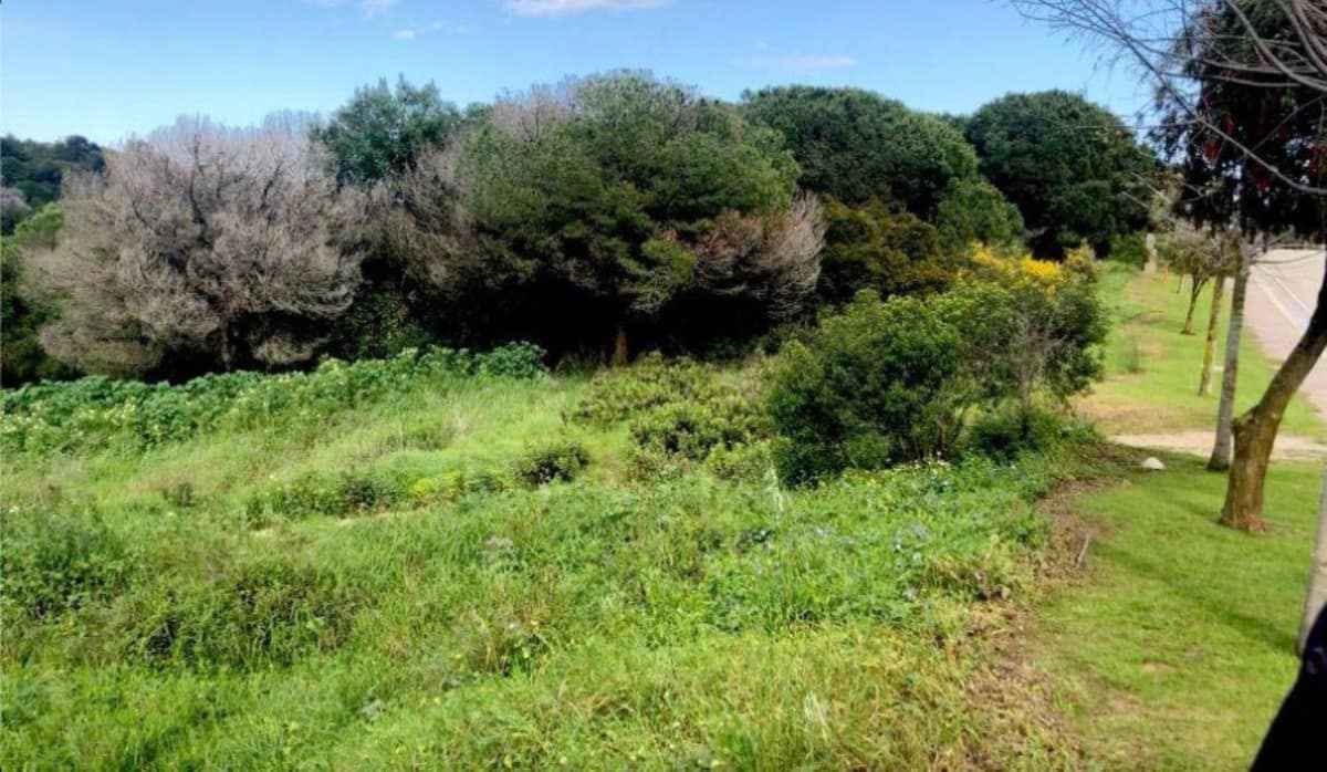 Kavel in Sotogrande, Costa del Sol in Sotogrande - foto 4