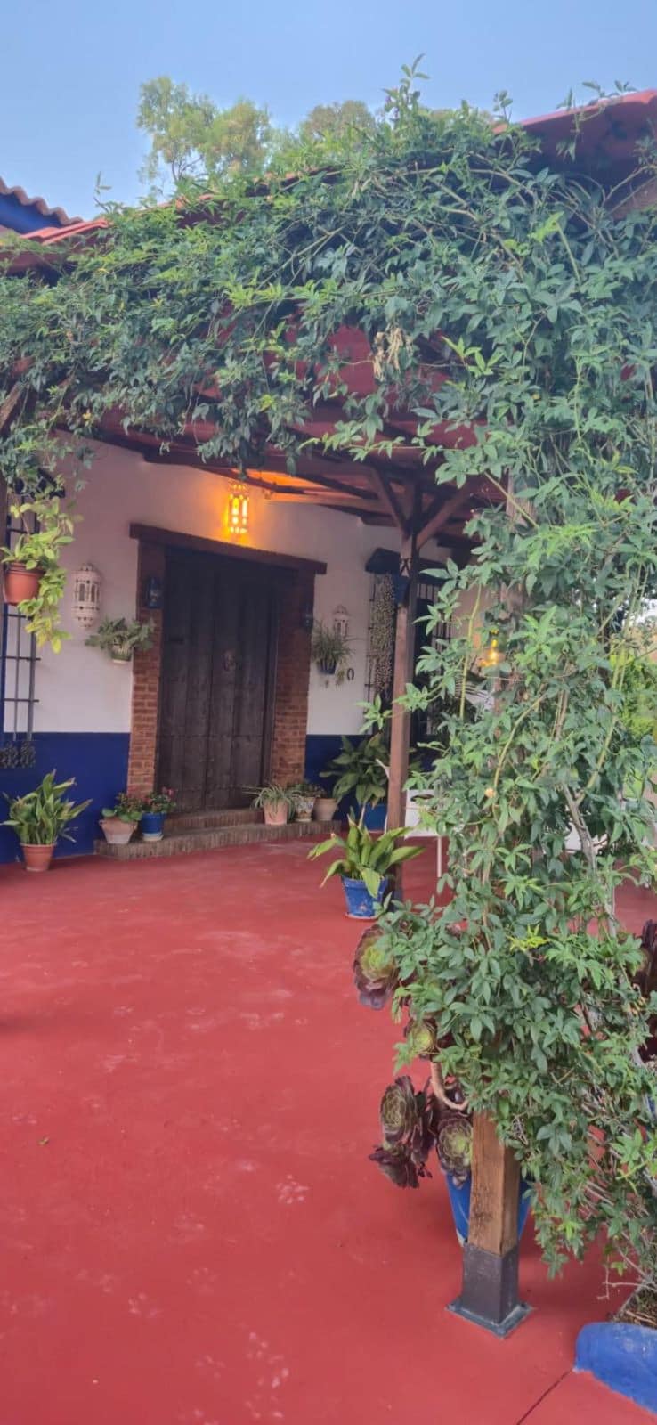 3-slaapkamer Finca in Cártama in Cártama - foto 18