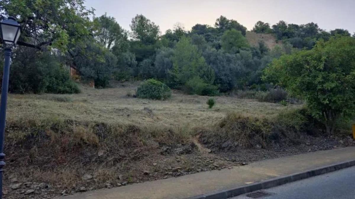 Kavel in Marbella – Privacy, Natuur en Potentieel in Marbella - foto 2