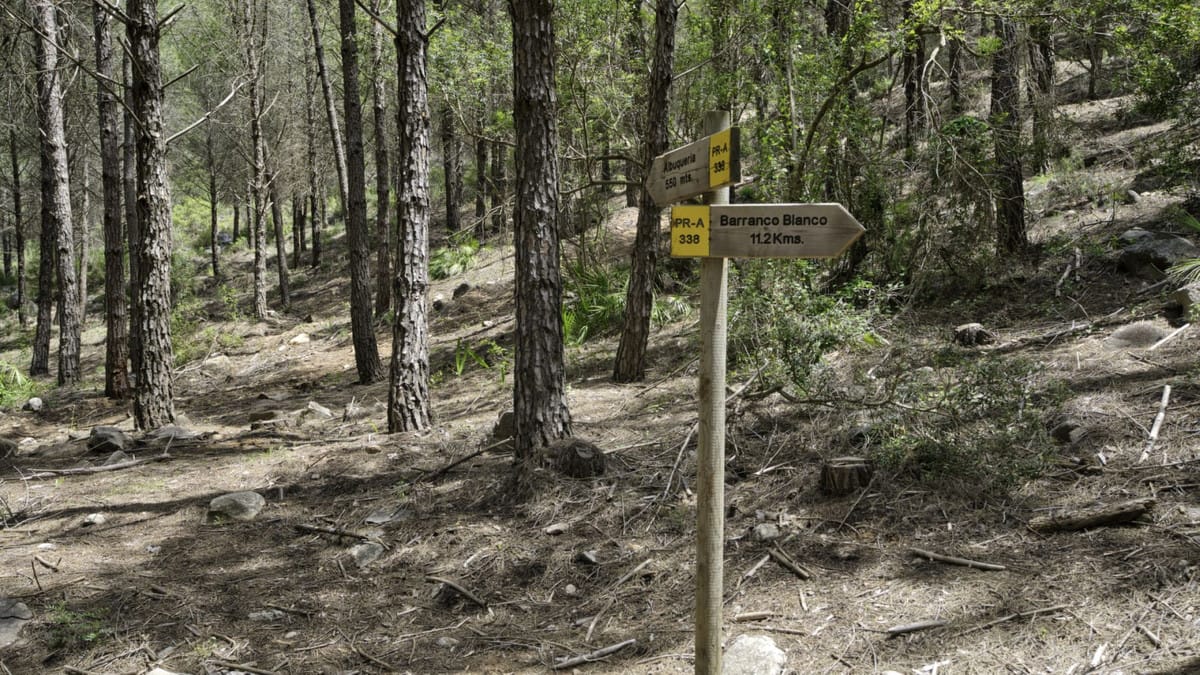 Kavels in Coín tussen Coín en Alhaurín Golf met zeezicht in Coín - foto 8