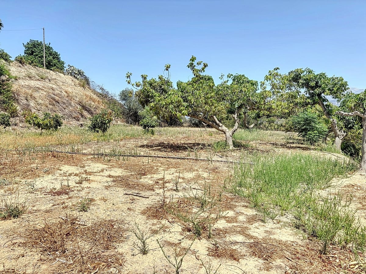 10-slaapkamer finca in Torre del Mar, Málaga in Torre del Mar - foto 4