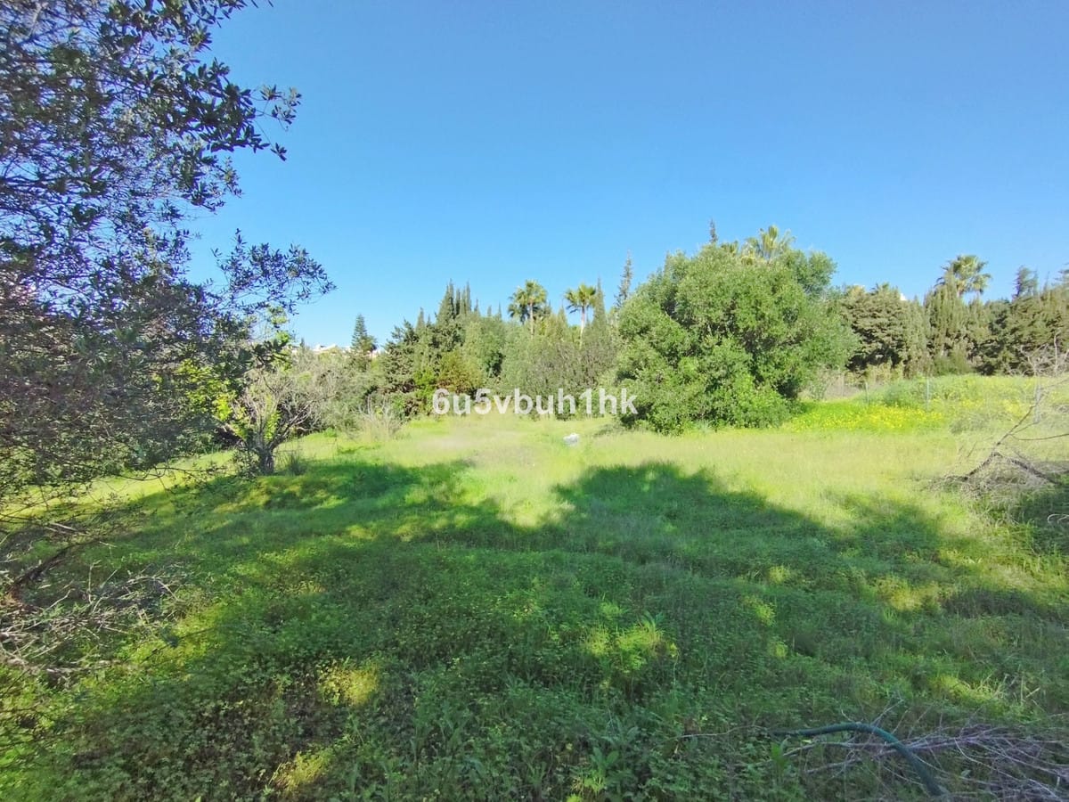 Kavel in Bel Air, Estepona in Bel Air - foto 15