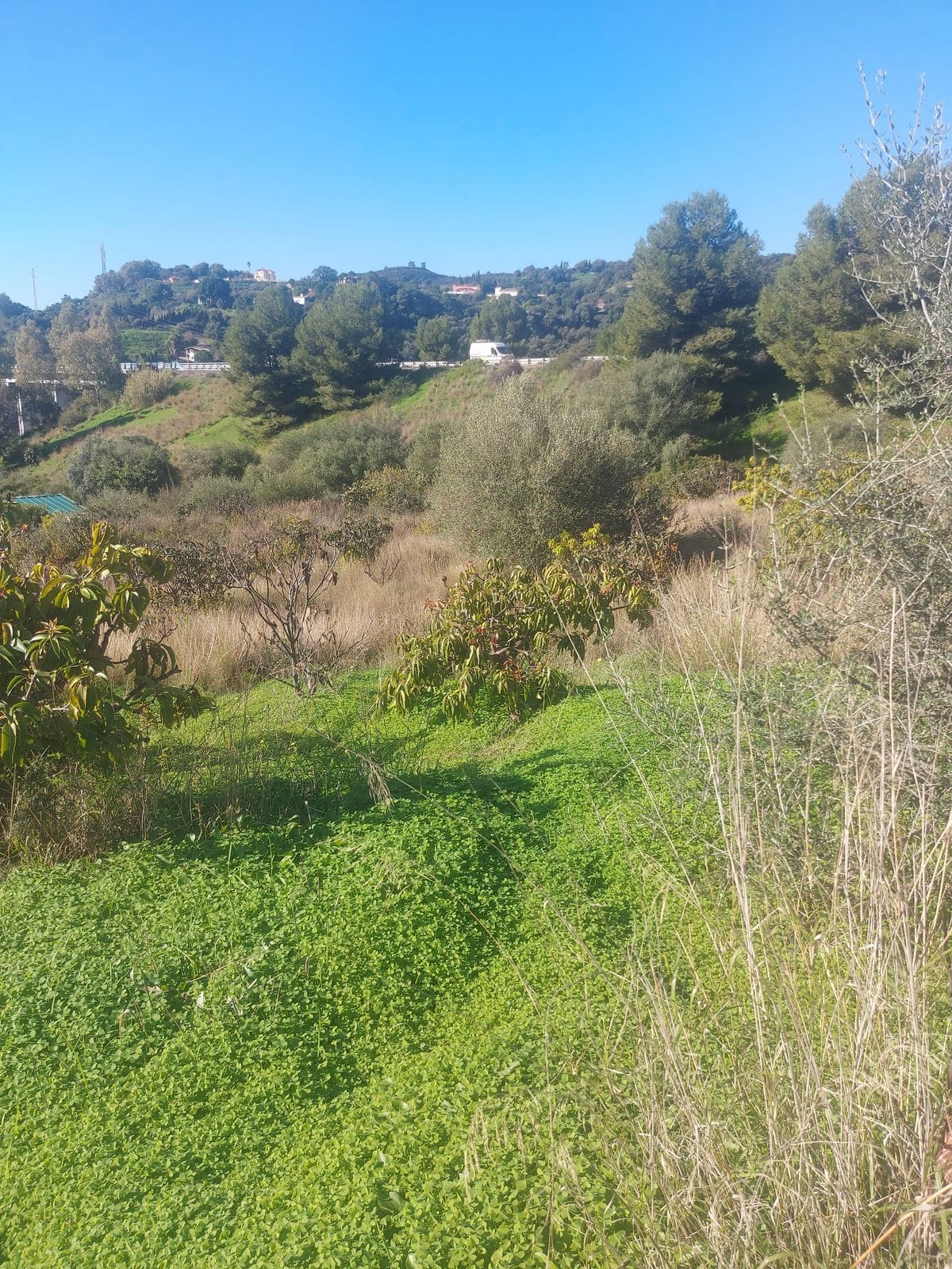 Huis met 2 slaapkamers in Estepona in Estepona - foto 18