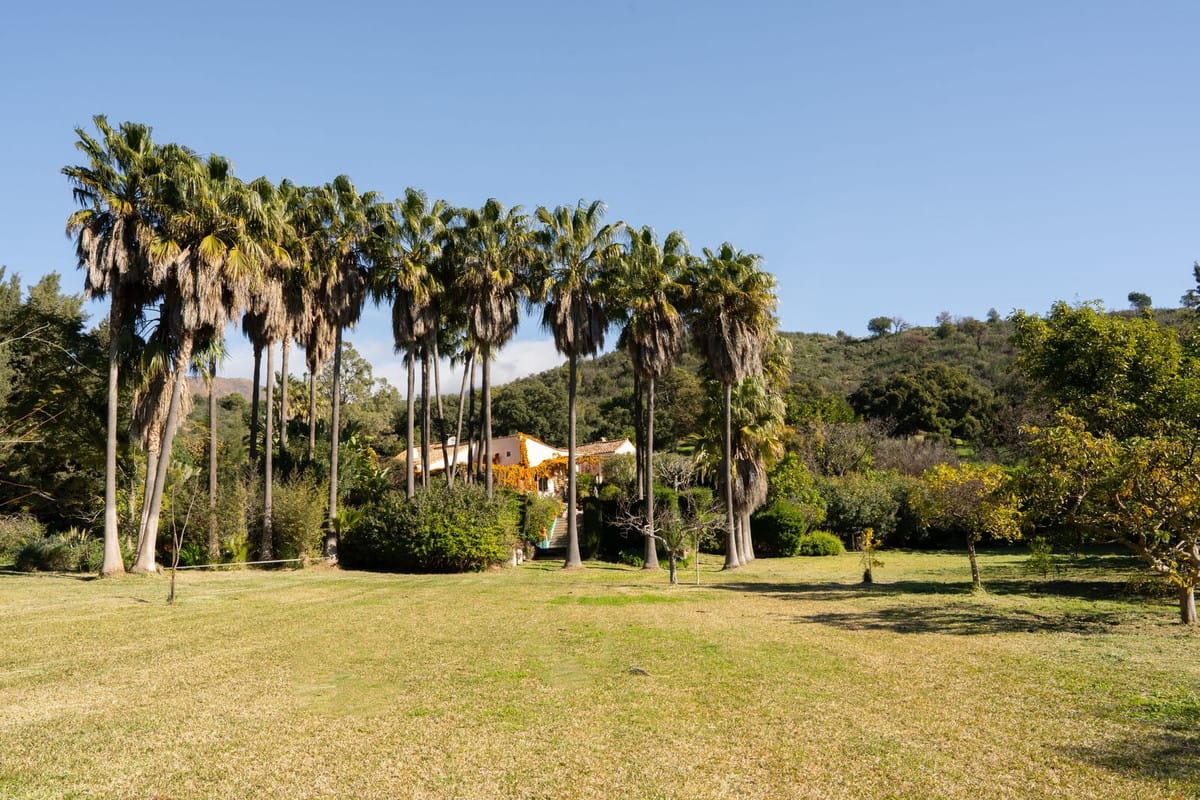 Charmant 4-slaapkamer landhuis in Casares in Casares - foto 7
