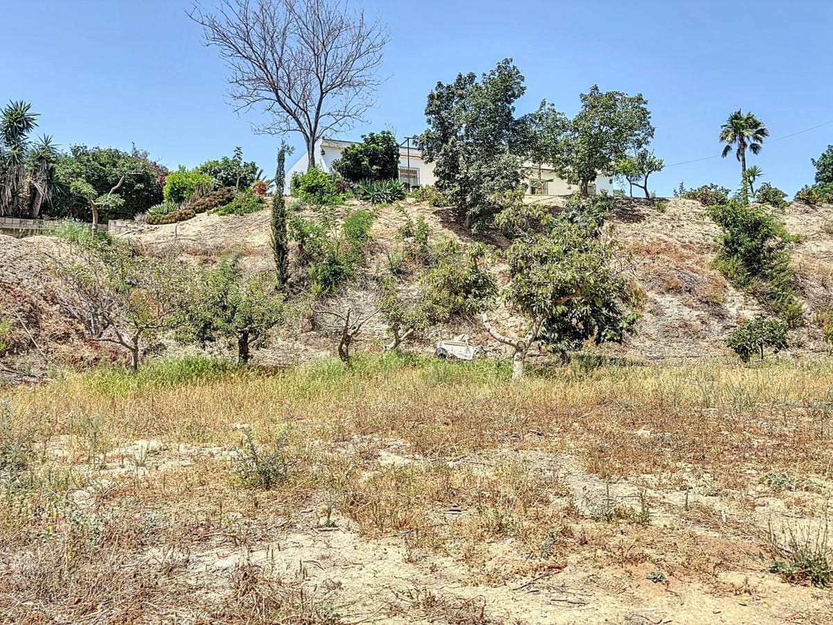 10-slaapkamer finca in Torre del Mar, Málaga in Torre del Mar - foto 5