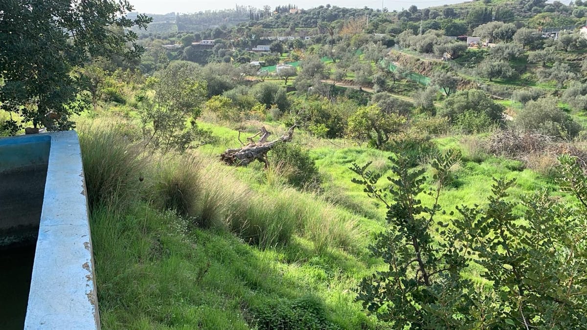 Finca met 3 slaapkamers in Mijas in Mijas - foto 12