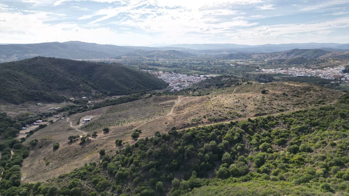 Kavel in Manilva, Málaga – 10 ha land met 212 m2 bebouwd in Manilva - foto 4