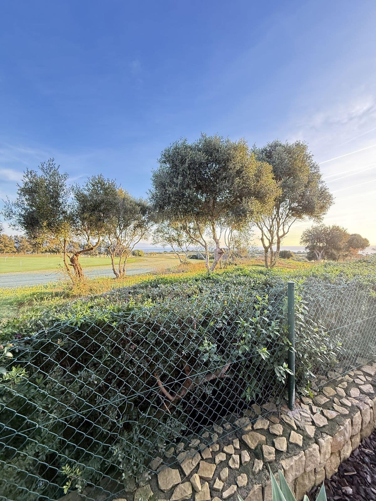 3 bedroom House in La Alcaidesa in La Alcaidesa - foto 2