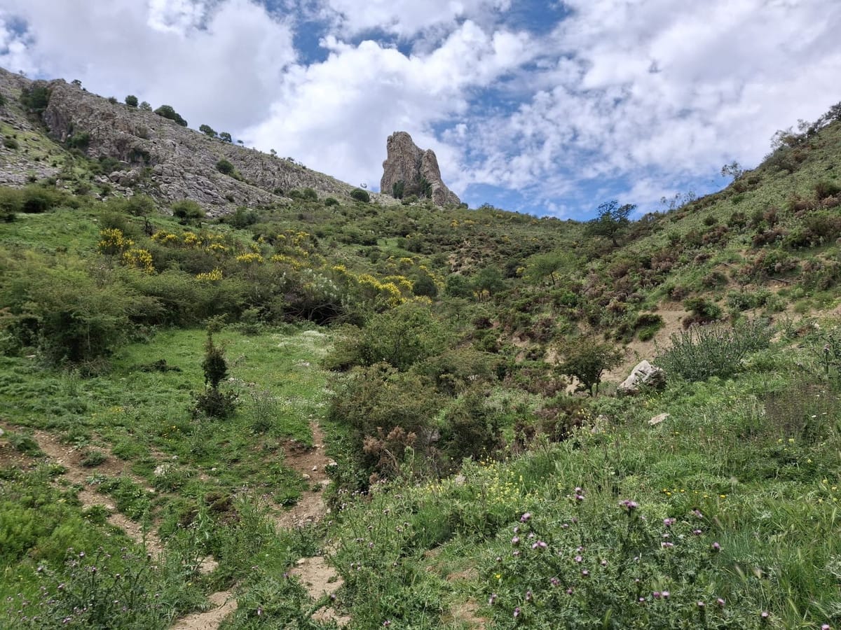 Kavel in Alfarnatejo – Natuurlijk paradijs te koop in Alfarnatejo - foto 18