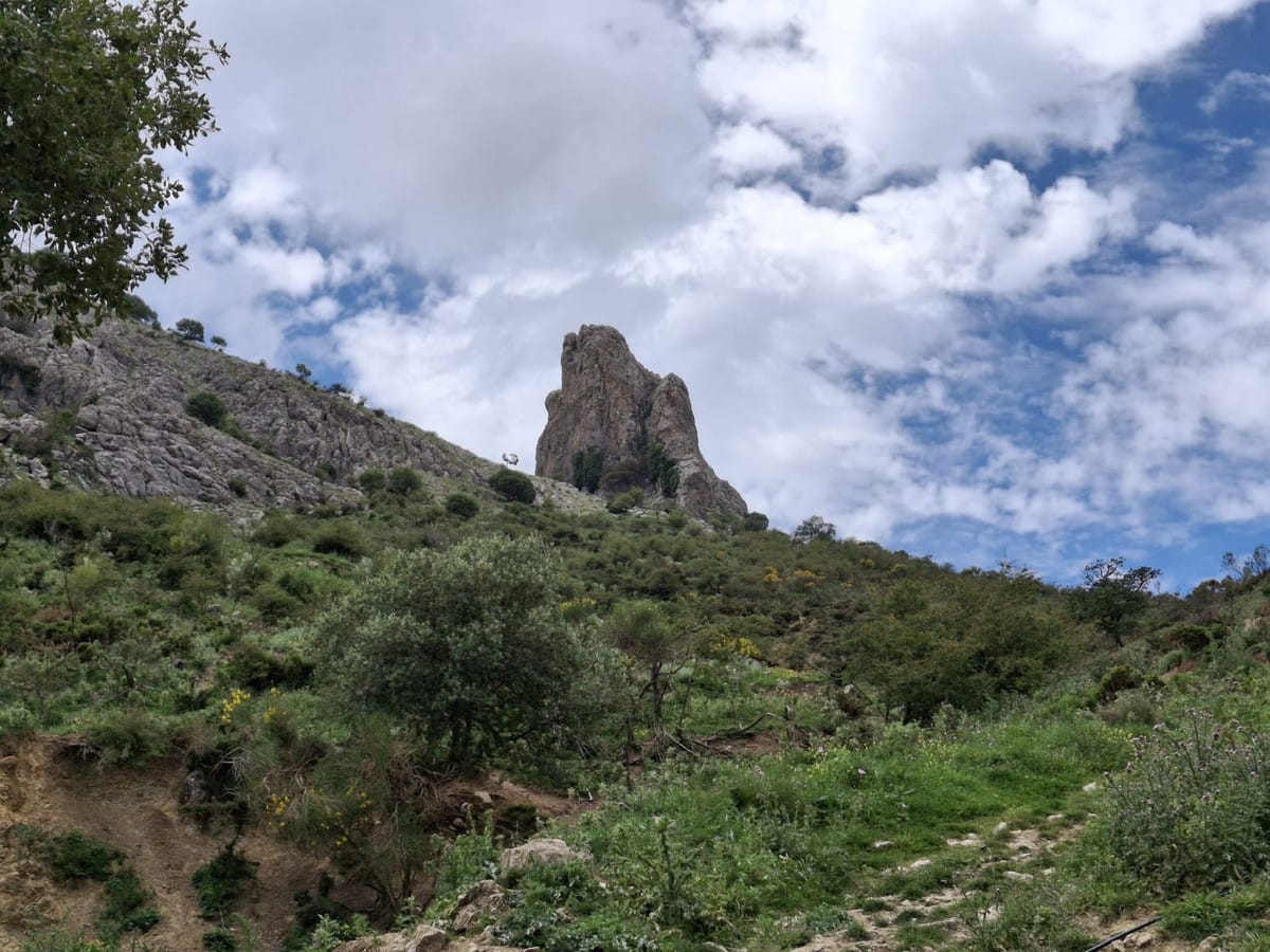 Kavel in Alfarnatejo – Natuurlijk paradijs te koop in Alfarnatejo - foto 16