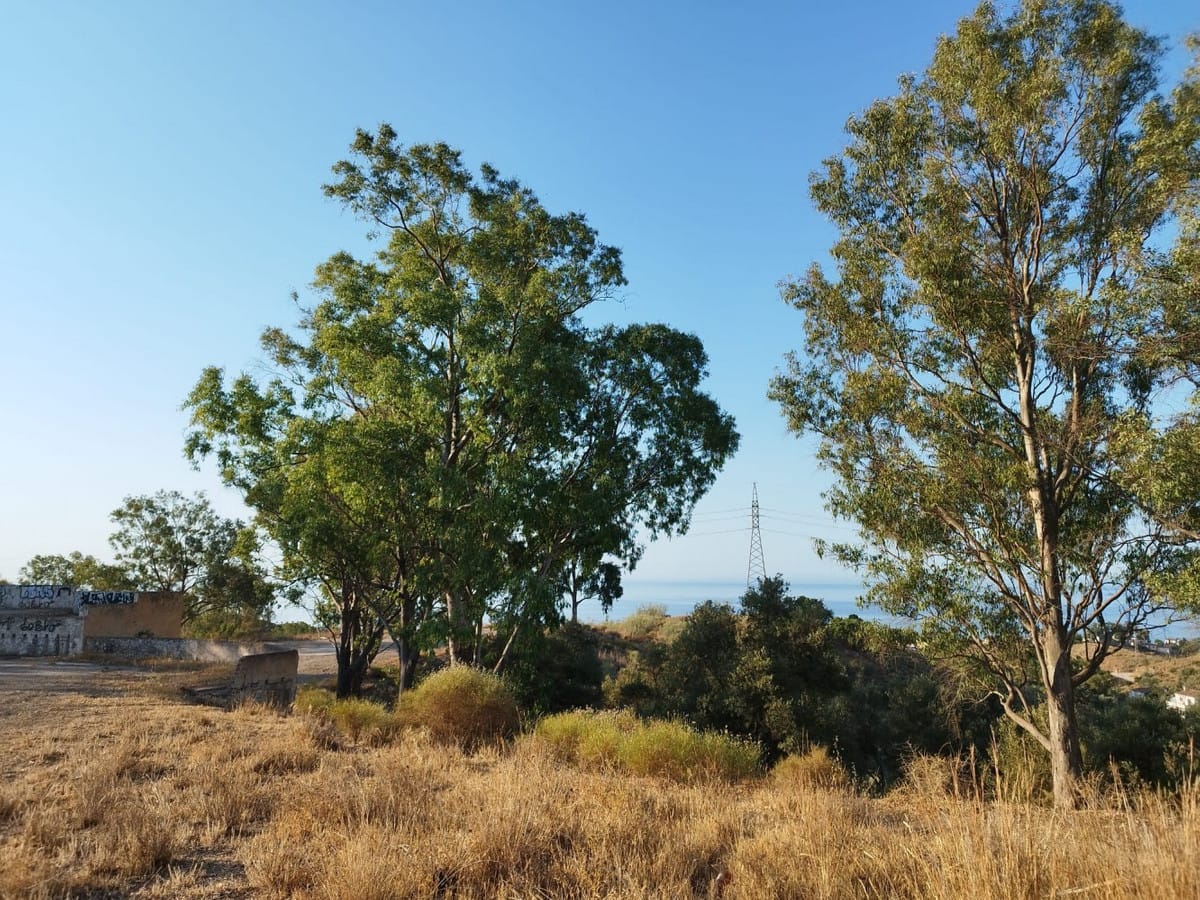 Kavel met zeezicht in Benajarafe in Benajarafe - foto 8