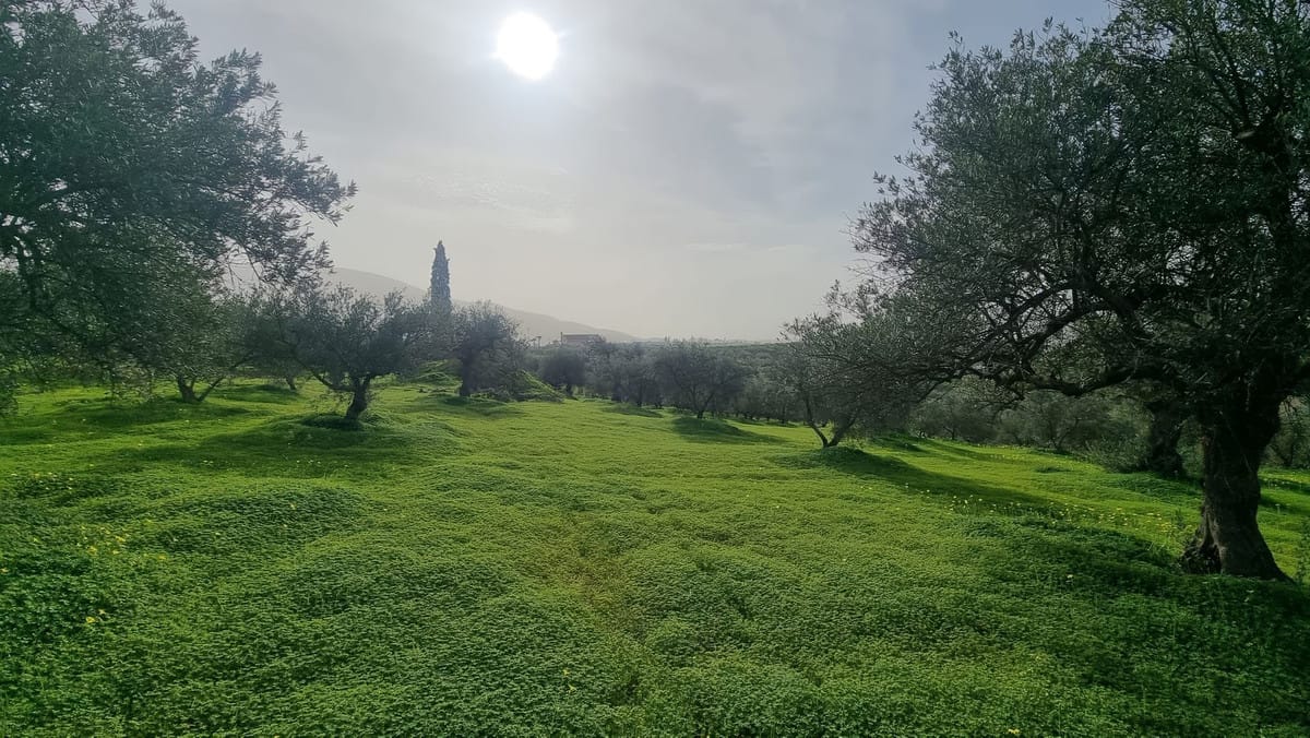 Kavel in Alhaurín el Grande in Alhaurín el Grande - foto 5