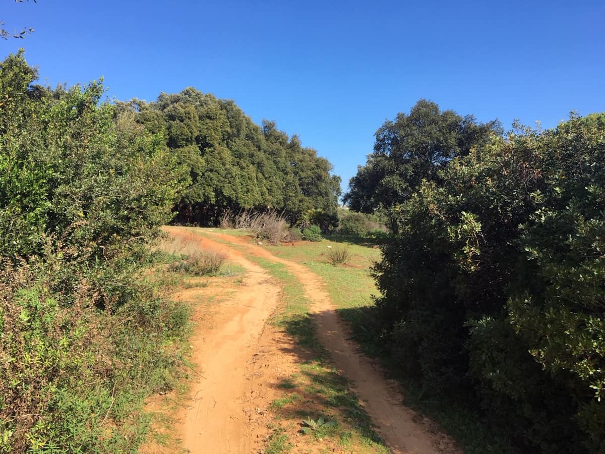 Perceel te koop in Manilva, Costa del Sol in Manilva - foto 14