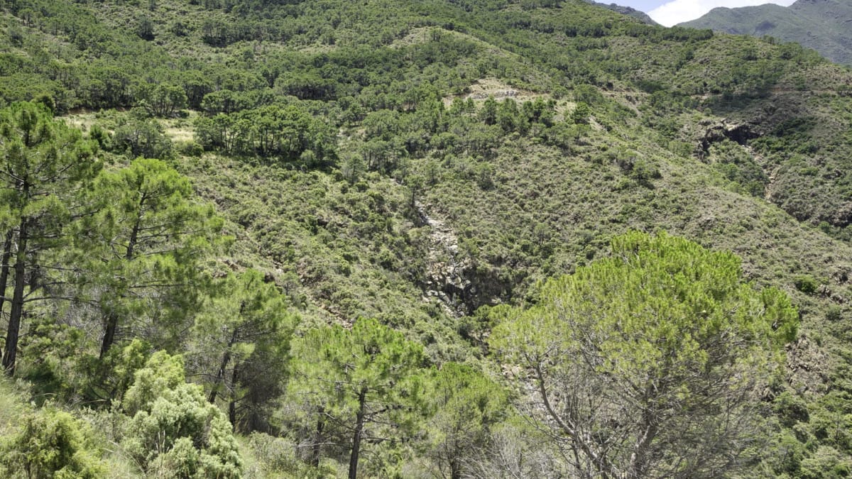 Kavels in Coín tussen Coín en Alhaurín Golf met zeezicht in Coín - foto 17