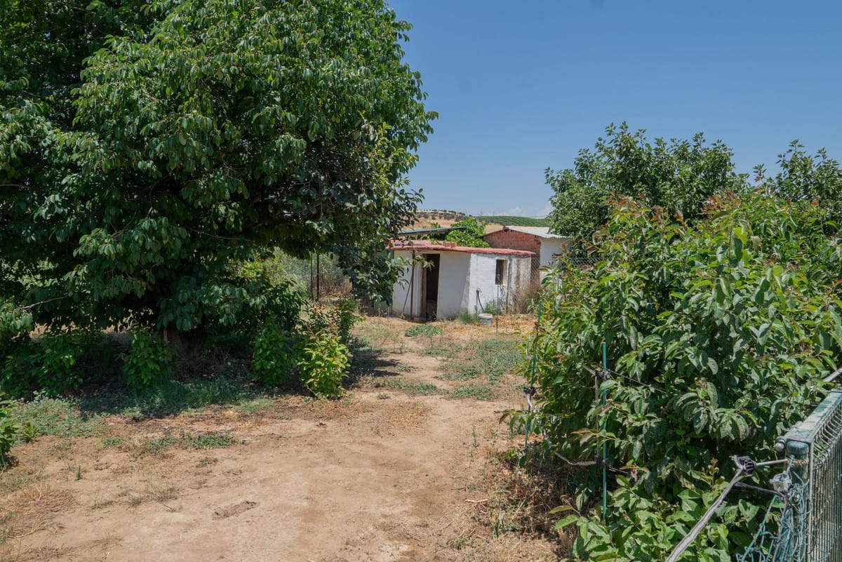 2-slaapkamerwoning in Álora in Alora - foto 17