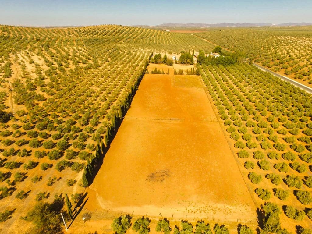 Finca met 9 slaapkamers in Antequera in Antequera - foto 4