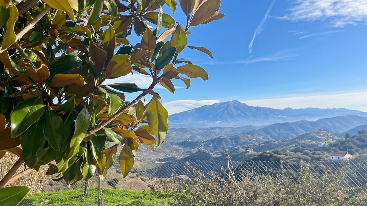 3-slaapkamer villa in Colmenar in Colmenar - foto 6