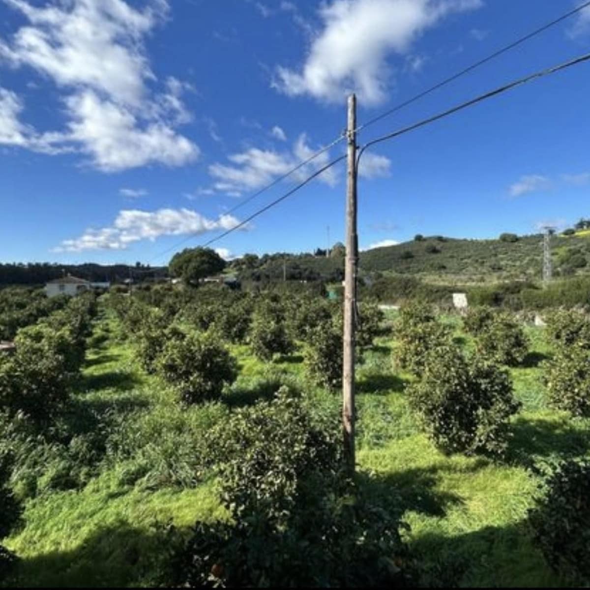 5-slaapkamer villa in San Martín de Tesorillo – ca. 11.000 m² perceel in San Martín de Tesorillo - foto 7