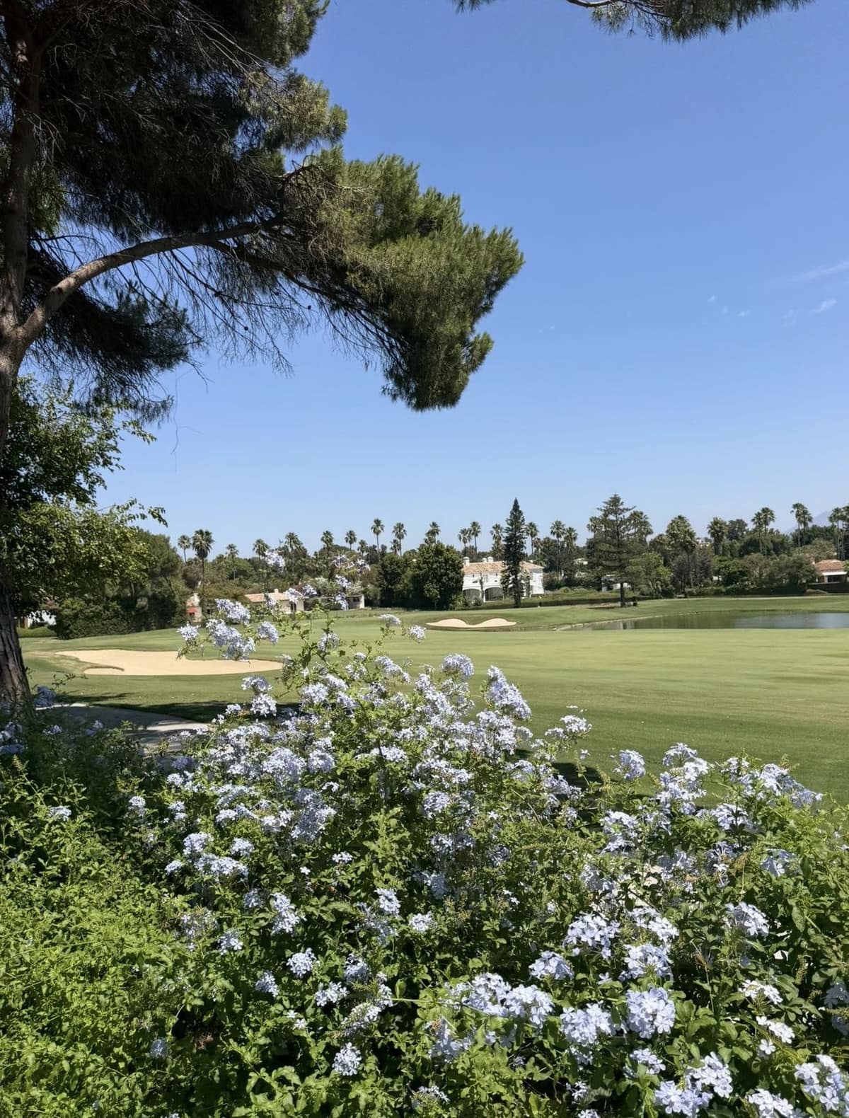 5-slaapkamer villa in Sotogrande Costa – frontlijn golf en herontwikkelingskans in Sotogrande Costa - foto 9
