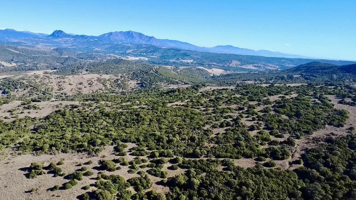 Uitzonderlijk landbouwlandgoed te koop in Sotogrande, Andalusië in Sotogrande - foto 8